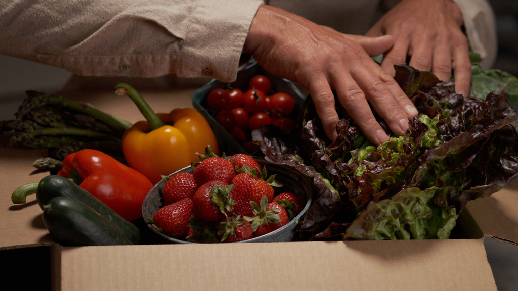 5 Easy Meals You Can Make with A Produce Box