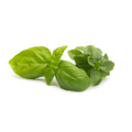Basil 1 oz
