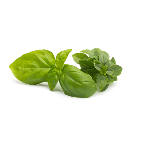 Basil 1 oz