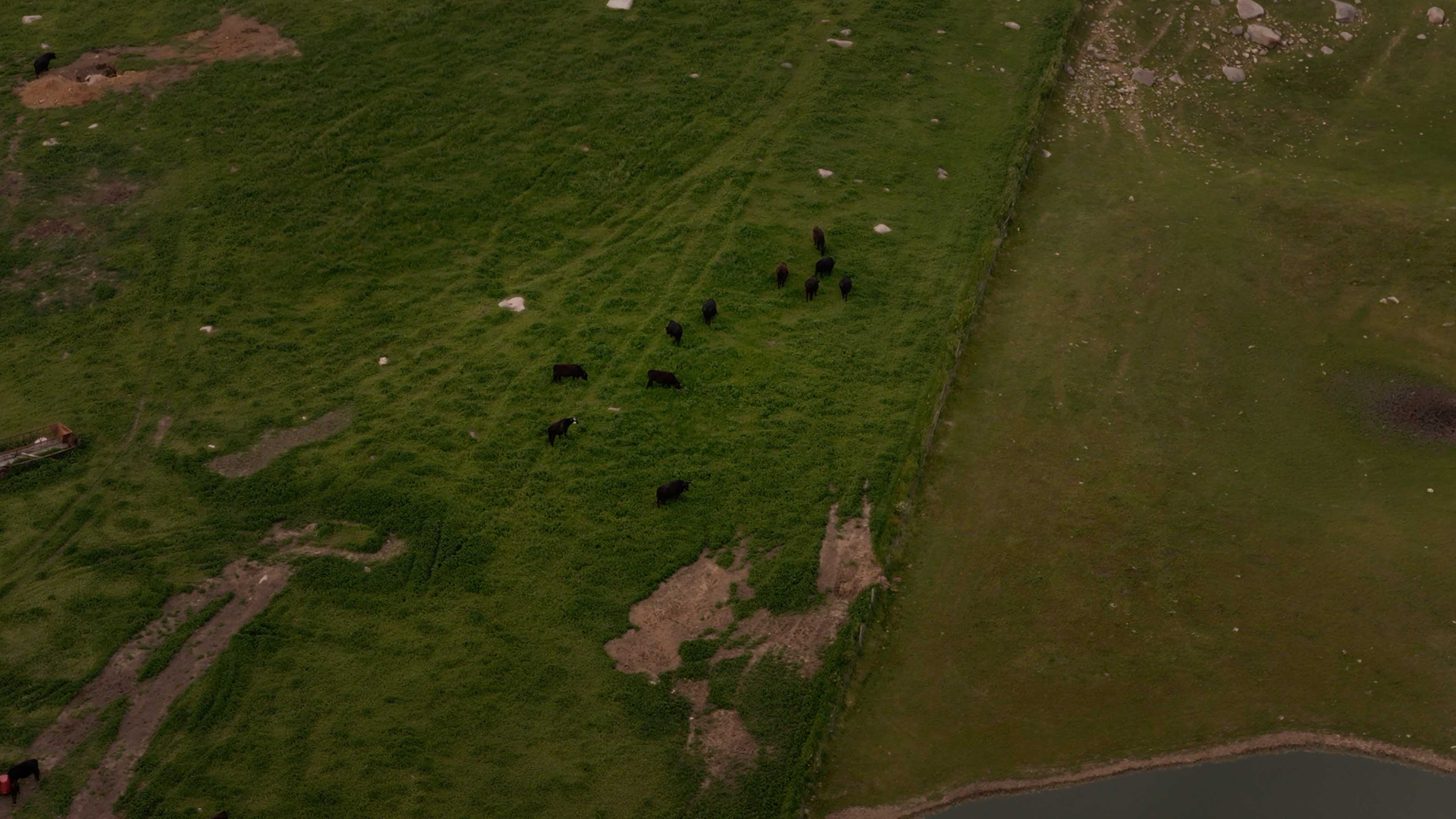 Family Value Meat Subscription Box