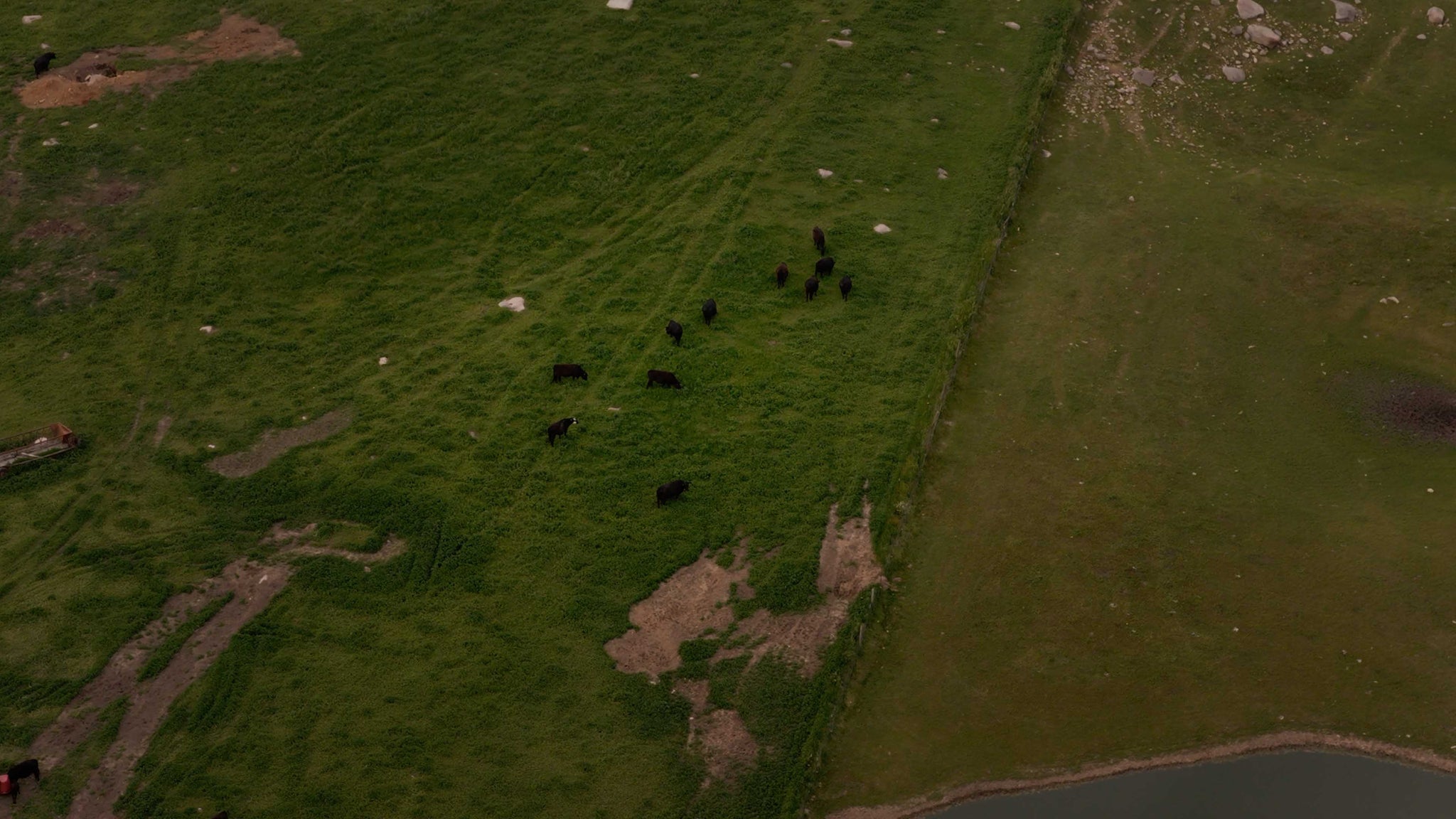 Family Value Meat Subscription Box