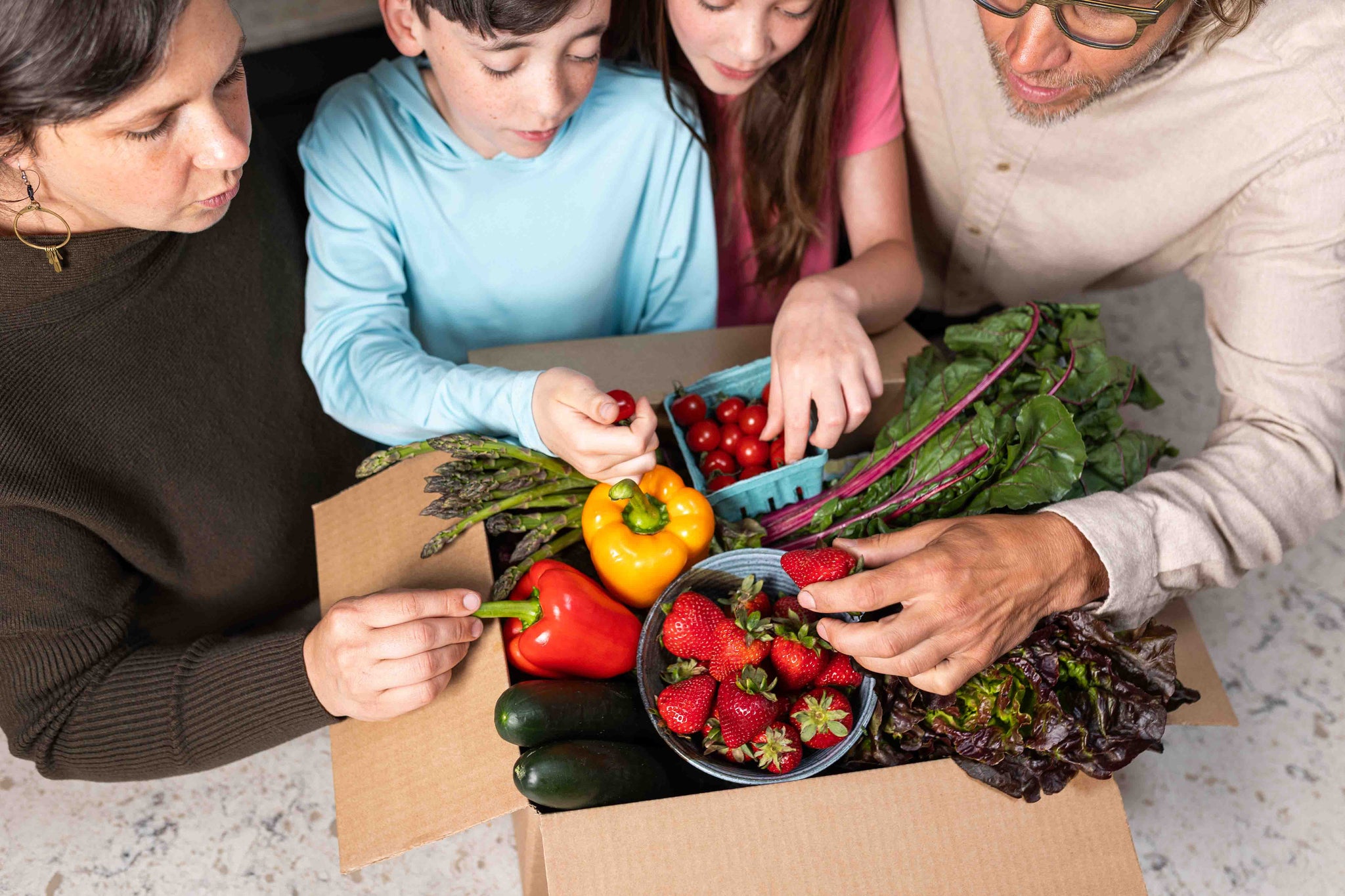 Family Harvest Produce Subscription Box (Feeds 4-6 people)