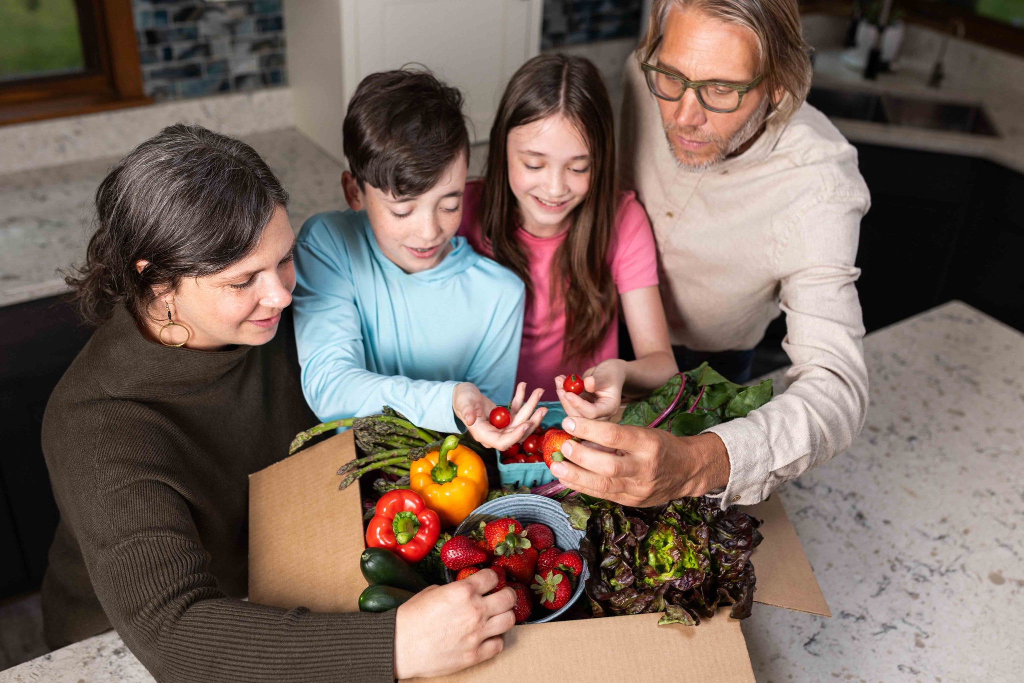 10-Week Family Harvest Box (Feeds 4-6 people) – Prepaid Save 10%