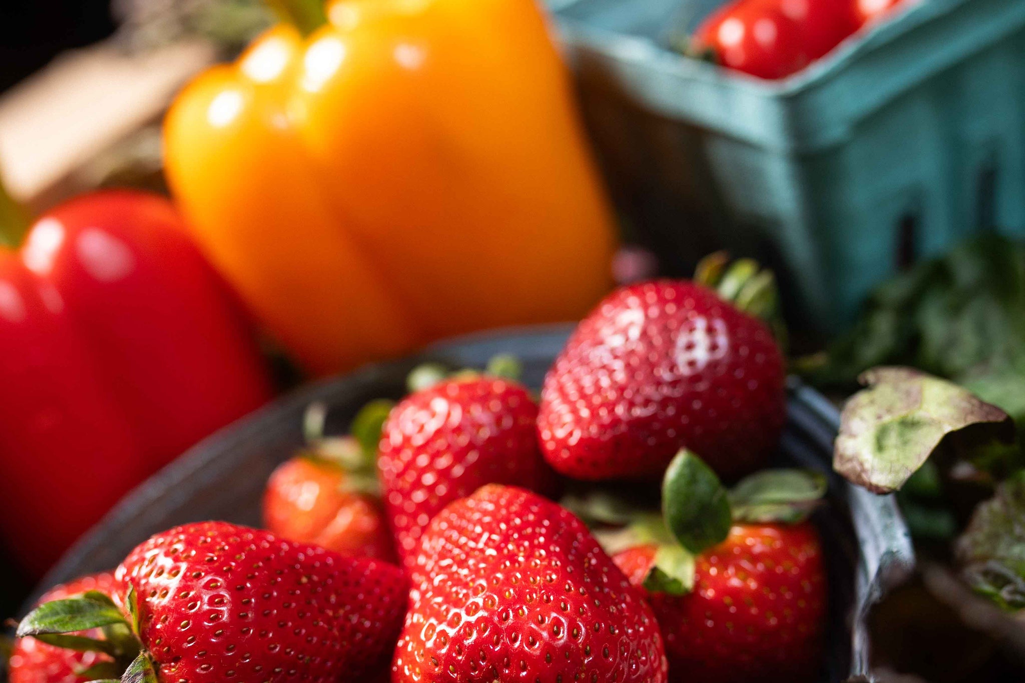 10-Week Family Harvest Box (Feeds 4-6 people) – Prepaid Save 10%